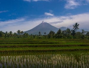 Gunung Semeru Kembali Erupsi, Kolom Abu Menjulang Hingga 1 Kilometer