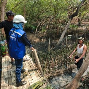 TPS Perkuat Komitmen ESG Lestarikan Ekosistem Mangrove Sejak 2010