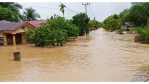 Banjir Bandang Terjang Sibolga: Korban Jiwa, Infrastruktur Lumpuh, dan Ribuan Warga Terdampak