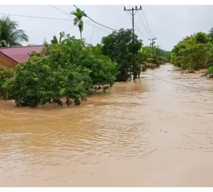 https://beritaadikara.com/banjir-bandang-terjang-sibolga-korban-jiwa-infrastruktur-lumpuh-dan-ribuan-warga-terdampak/