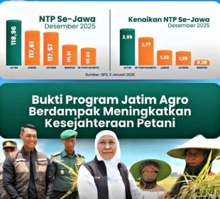 https://beritaadikara.com/ntp-jawa-timur-t…n-di-musim-hujan/