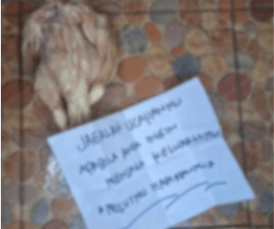 Teror Beruntun Menyasar Aktivis Lingkungan di Aceh dan Sumatera, Ancaman Nyata bagi Kebebasan Bersuara