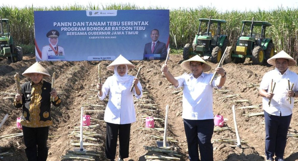 https://beritaadikara.com/pemerintah-dorong-produktivitas-tebu-dan-perkuat-swasembada-gula-nasional-lewat-bongkar-ratoon-tebu/