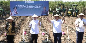 https://beritaadikara.com/pemerintah-dorong-produktivitas-tebu-dan-perkuat-swasembada-gula-nasional-lewat-bongkar-ratoon-tebu/