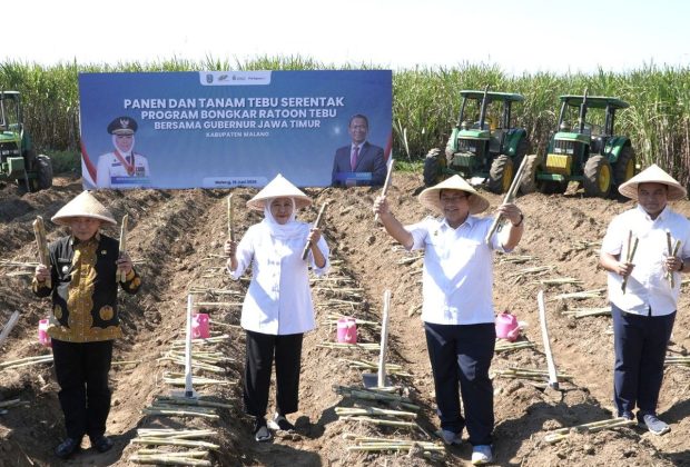 https://beritaadikara.com/pemerintah-dorong-produktivitas-tebu-dan-perkuat-swasembada-gula-nasional-lewat-bongkar-ratoon-tebu/