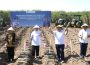 https://beritaadikara.com/pemerintah-dorong-produktivitas-tebu-dan-perkuat-swasembada-gula-nasional-lewat-bongkar-ratoon-tebu/