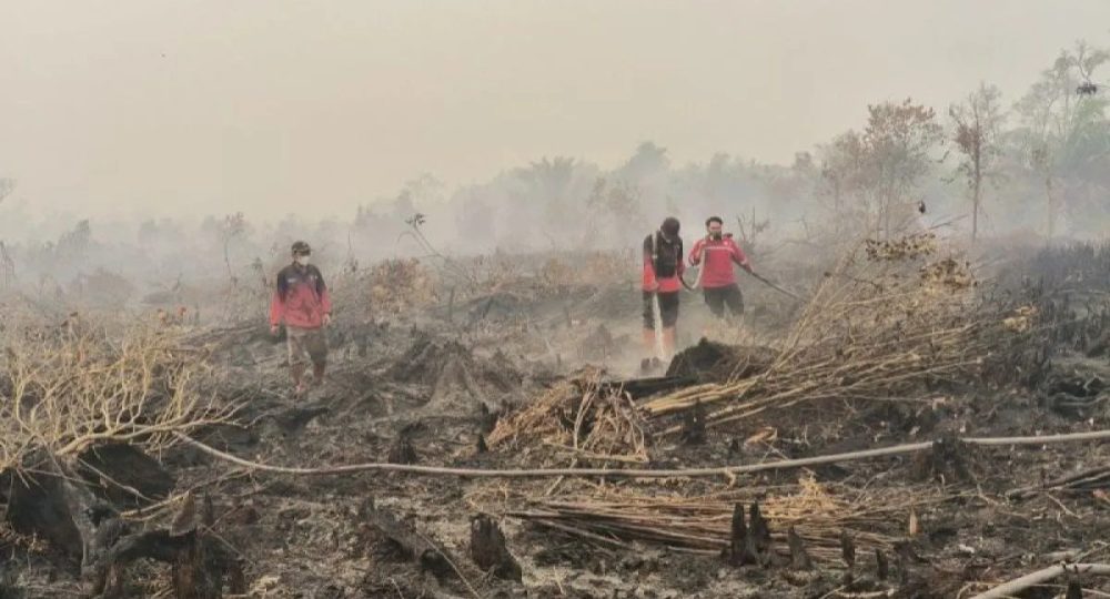 Indonesia Darurat Karhutla, Kebakaran Meluas dan Ancaman Asap Mengintai Sejumlah Wilayah