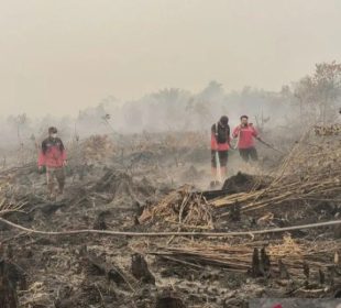 Indonesia Darurat Karhutla, Kebakaran Meluas dan Ancaman Asap Mengintai Sejumlah Wilayah