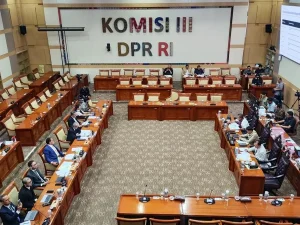 Juniver Girsang Ingatkan RUU Perampasan Aset Jangan Disalahgunakan