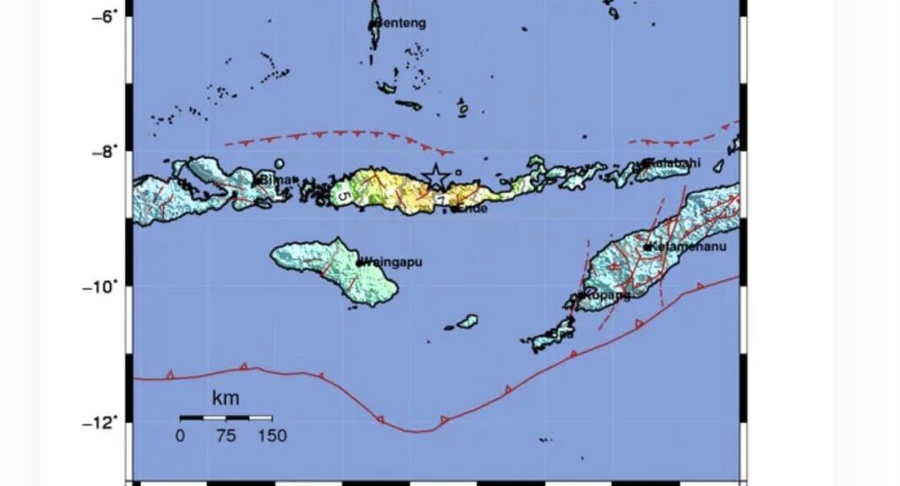 Gempa Dahsyat Flores Guncang NTT, Korban Jiwa Bertambah dan Ribuan Warga Masih Bertahan di Pengungsian