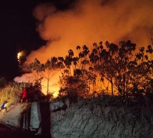 Pemerintah Kerahkan 12.880 Personel Pemadam untuk Atasi Karhutla di Kalimantan