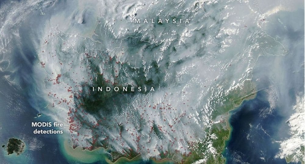 Karhutla Kalimantan Meluas hingga Negara Tetangga, Pemerintah Didesak Bergerak Lebih Cepat