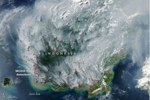 Karhutla Kalimantan Meluas hingga Negara Tetangga, Pemerintah Didesak Bergerak Lebih Cepat