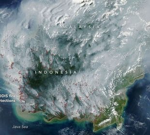Karhutla Kalimantan Meluas hingga Negara Tetangga, Pemerintah Didesak Bergerak Lebih Cepat