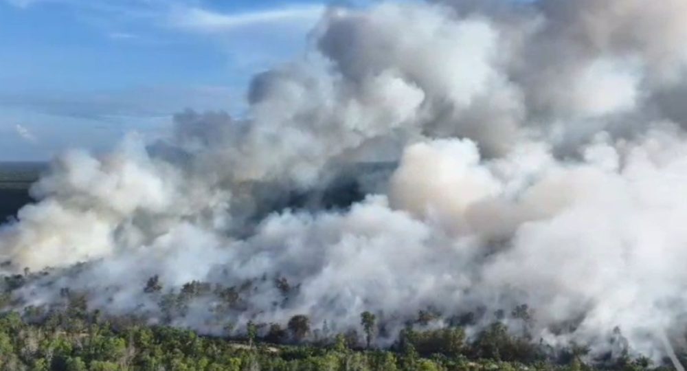 Karhutla Masih Mengancam Indonesia, Kalimantan dan Sumatera Jadi Prioritas, Papua Hadapi Kendala Pemadaman