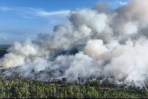Karhutla Masih Mengancam Indonesia, Kalimantan dan Sumatera Jadi Prioritas, Papua Hadapi Kendala Pemadaman