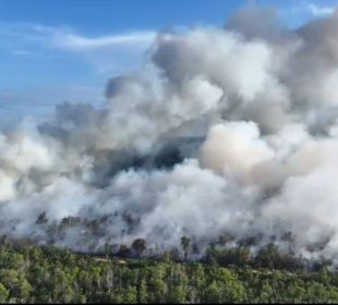 Karhutla Masih Mengancam Indonesia, Kalimantan dan Sumatera Jadi Prioritas, Papua Hadapi Kendala Pemadaman